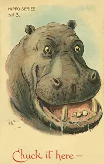 Hippo Prints: Hippo