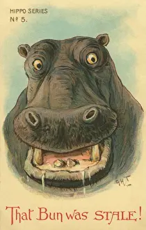 Hippo Prints: Hippo