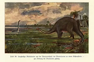 Images Dated 10th October 2019: Giant Brontosaurs in a freshwater lake, Jurassic