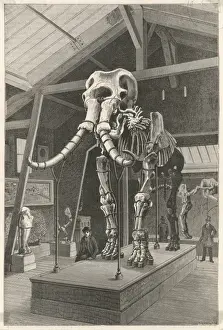 Giant Elephant / La Nature