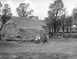 Haystacks Prints: Giant Haystack