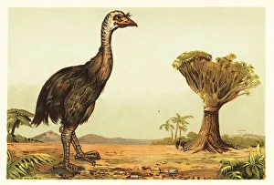 Giant moa and dragon tree