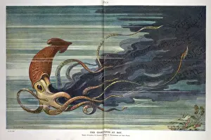 The giant squid at bay