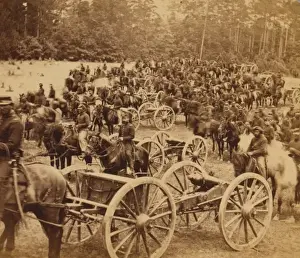 Oaks Prints: Gibsons horse battery (C. 3d US Art y. ) near Fair Oaks, Va