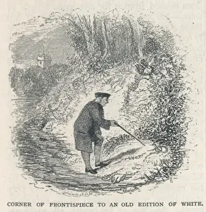 Gilbert White of Selborn