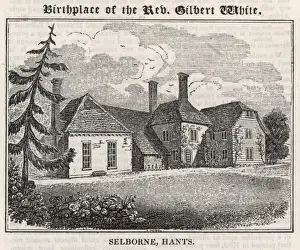 Gilbert White / Selborne