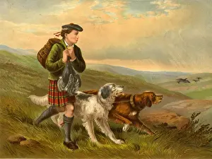 Shoot Prints: Gillie boy with dogs on grouse shoot, Scotland