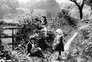Gilrs Blackberrying Victorian period