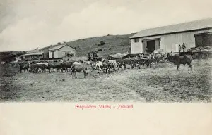 Zulu Prints: Gingindlovu, Natal, South Africa