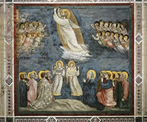 Ascension of Life