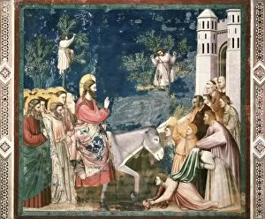 Jerusalem Collection: Giotto di Bondone (1267-1337)