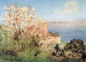 Giuliano Prints: Giovanni Battista, Monte San Giuliano, Sicily, Italy