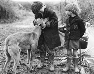Affectionate Gallery: Gipsy Boys & Dog