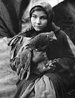 Plaited Prints: Gipsy girl holding a chicken, Charlwood, Surrey