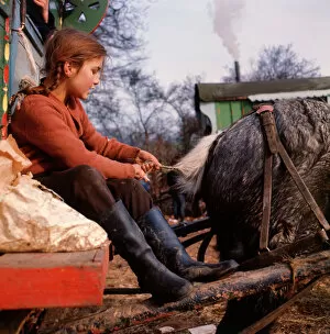 Tail Collection: Gipsy girl plaiting horses tail at an encampment in Surrey