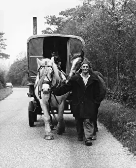 Gipsy, Horses, Caravan