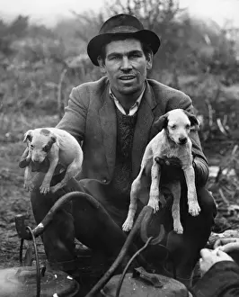 Rogue Prints: Gipsy & Puppies