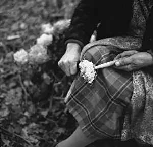 Flowery Prints: Gipsy woman with washing-up brush