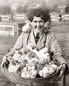 Hamper Prints: Girl with a basket full of Easter chicks, 1930 s
