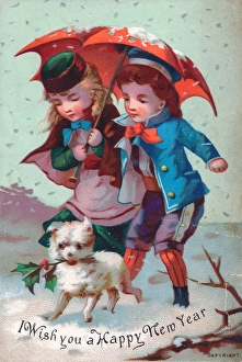 Images Dated 2015 November: 23 Nov 2015 Collection