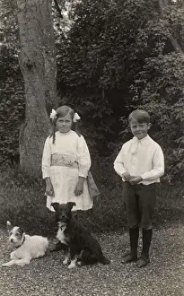 Girl and boy with two terrier dogs in a garden
