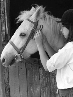 Images Dated 24th March 2011: Girl Bridling Horse
