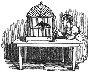 Caged Gallery: Girl with caged bird, c. 1800