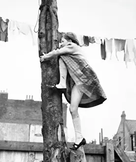 Scruffy Prints: Girl climbing tree, line of washing, Balham, SW London