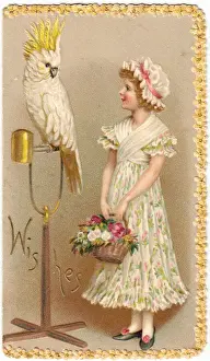 Cockatoos Prints: Girl with cockatoo on a greetings card