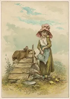 Girl Counts Chickens