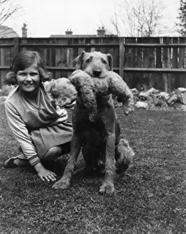 Teddy Prints: Girl with dog and teddy bear