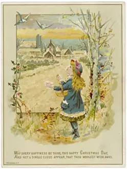 Girl Feeds Birds