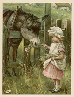Daisies Prints: Girl Feeds Donkey C1885