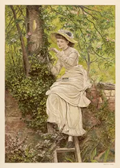 Climbs Prints: Girl Feeds Nestlings