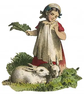 Girl Feeds Rabbits 1830S
