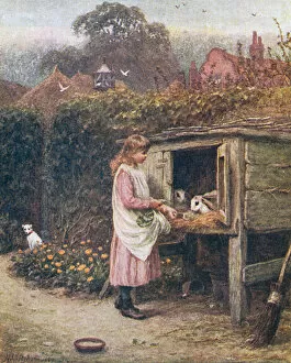 Feeds Collection: Girl Feeds Rabits 1880