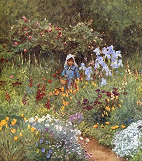 Country Girl/Flowers