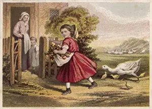 Runs Prints: Girl and Geese