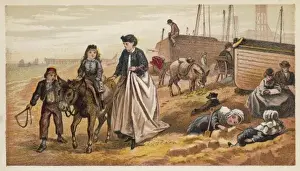 Girl Goes on Donkey Ride