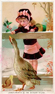 Holly Collection: Girl and goose on a Christmas card