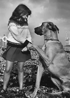Shaking Prints: Girl with Great Dane on a pebbly beach