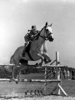 Images Dated 6th September 2011: Girl Show Jumper