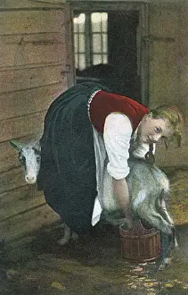 Milking Prints: Girl Milking Goat / Norway