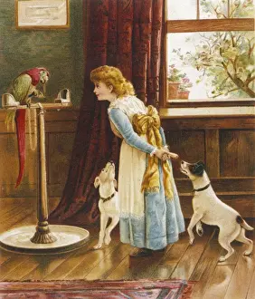 Girl with Parrot / Dogs