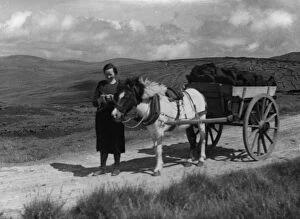 Images Dated 11th January 2012: Girl with Peat Cart