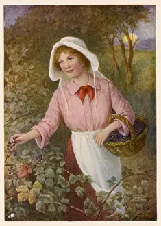 Berries Prints: Girl Picking Berries