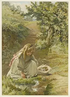 Girl Picking Flowers