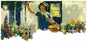 Girl picking fruit