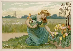 Tulips Prints: GIRL PICKING TULIPS
