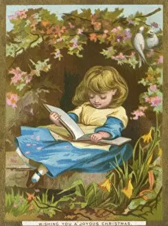 Images Dated 24th August 2012: Girl Reads Among Flowers